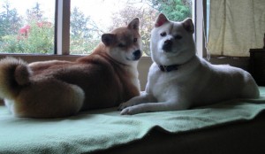 kimi and eric kimi and eric