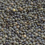 lentils de puy_1 lentils de puy_1