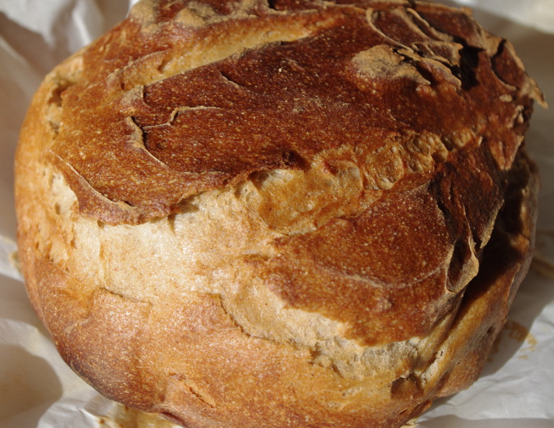 Free sourdough starter recipes
